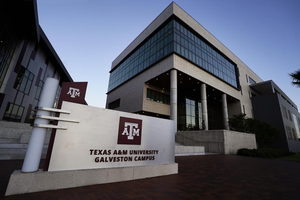 Front sign of the Texas A&amp;M University at Galveston campus